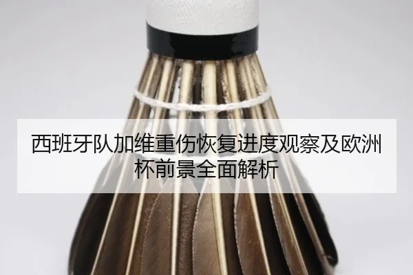 西班牙队加维重伤恢复进度观察及欧洲杯前景全面解析